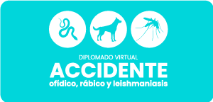 diplomado_accidente_ofidico